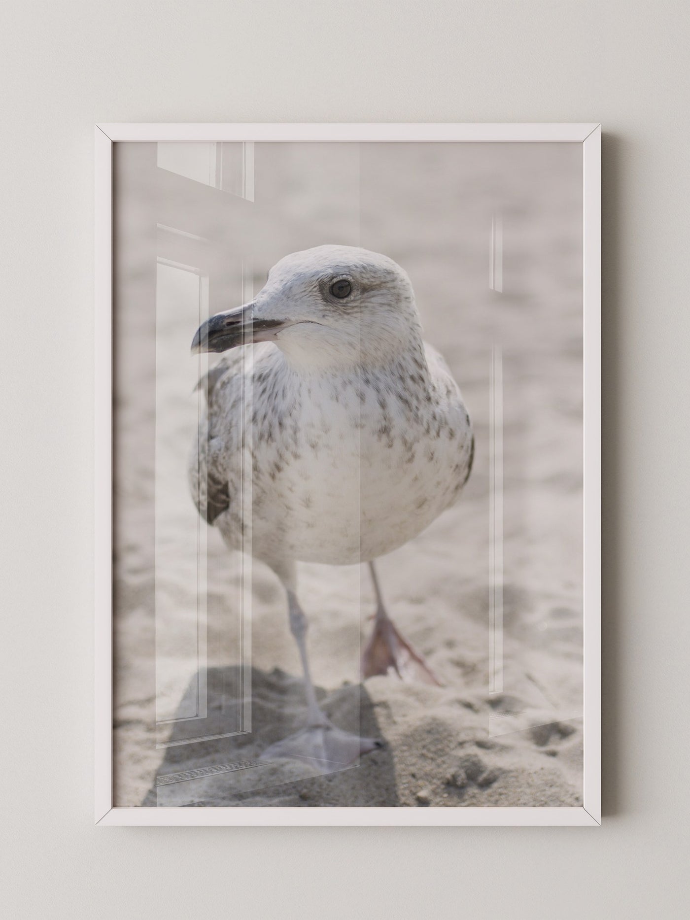 Möwe am Strand Naturfarbe