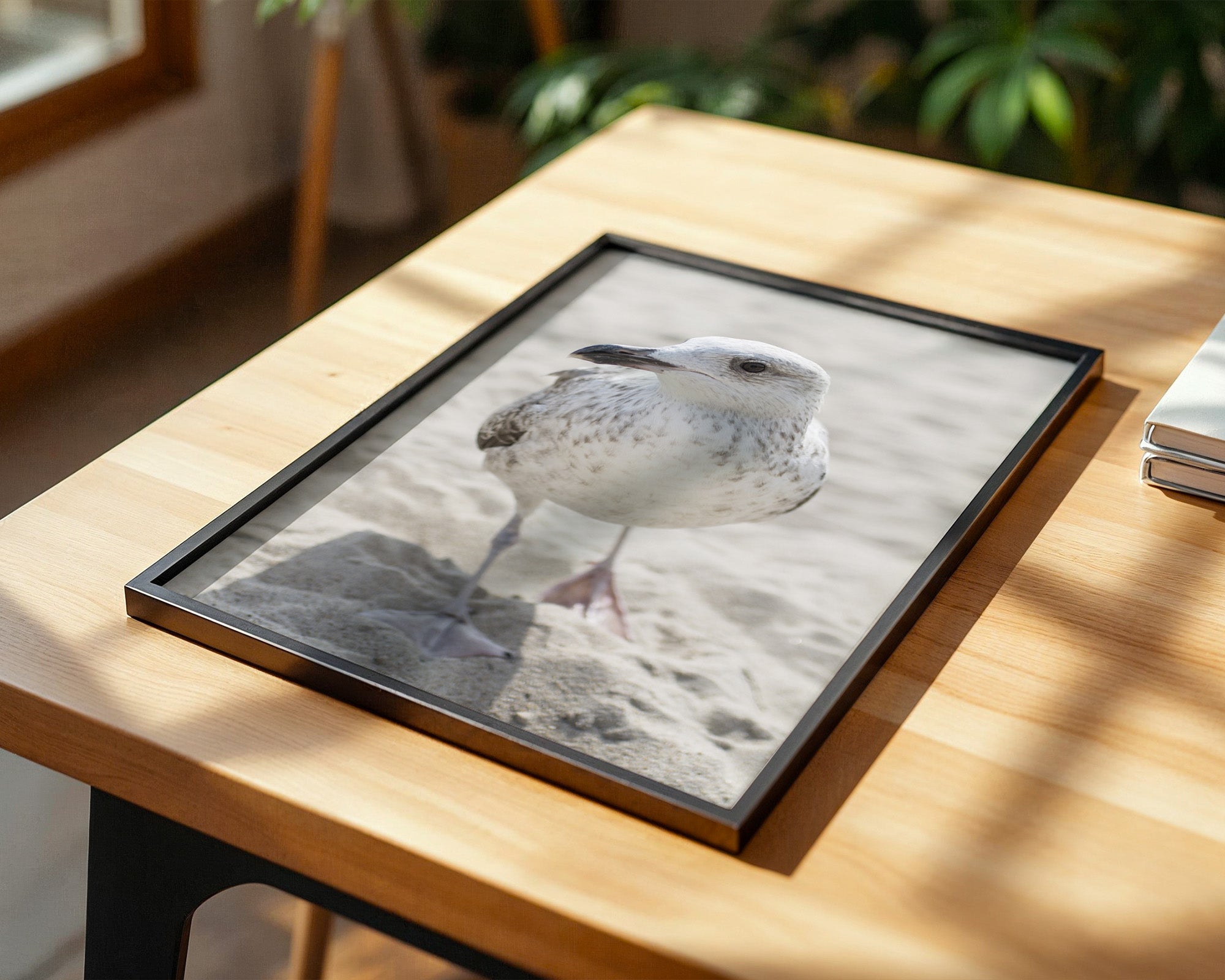 Möwe am Strand Naturfarbe