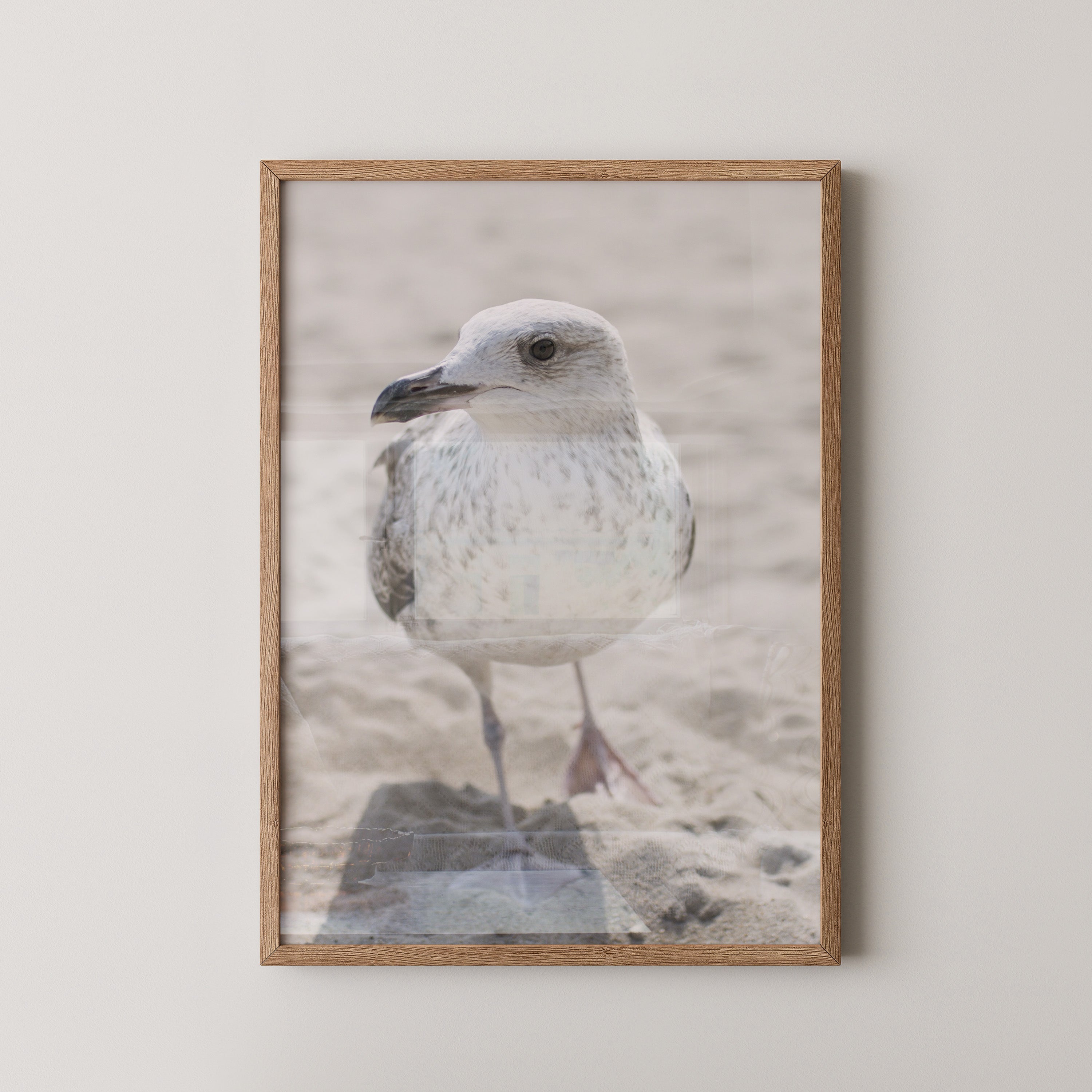 Möwe am Strand Naturfarbe