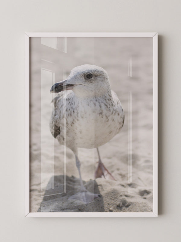 Möwe am Strand Naturfarbe