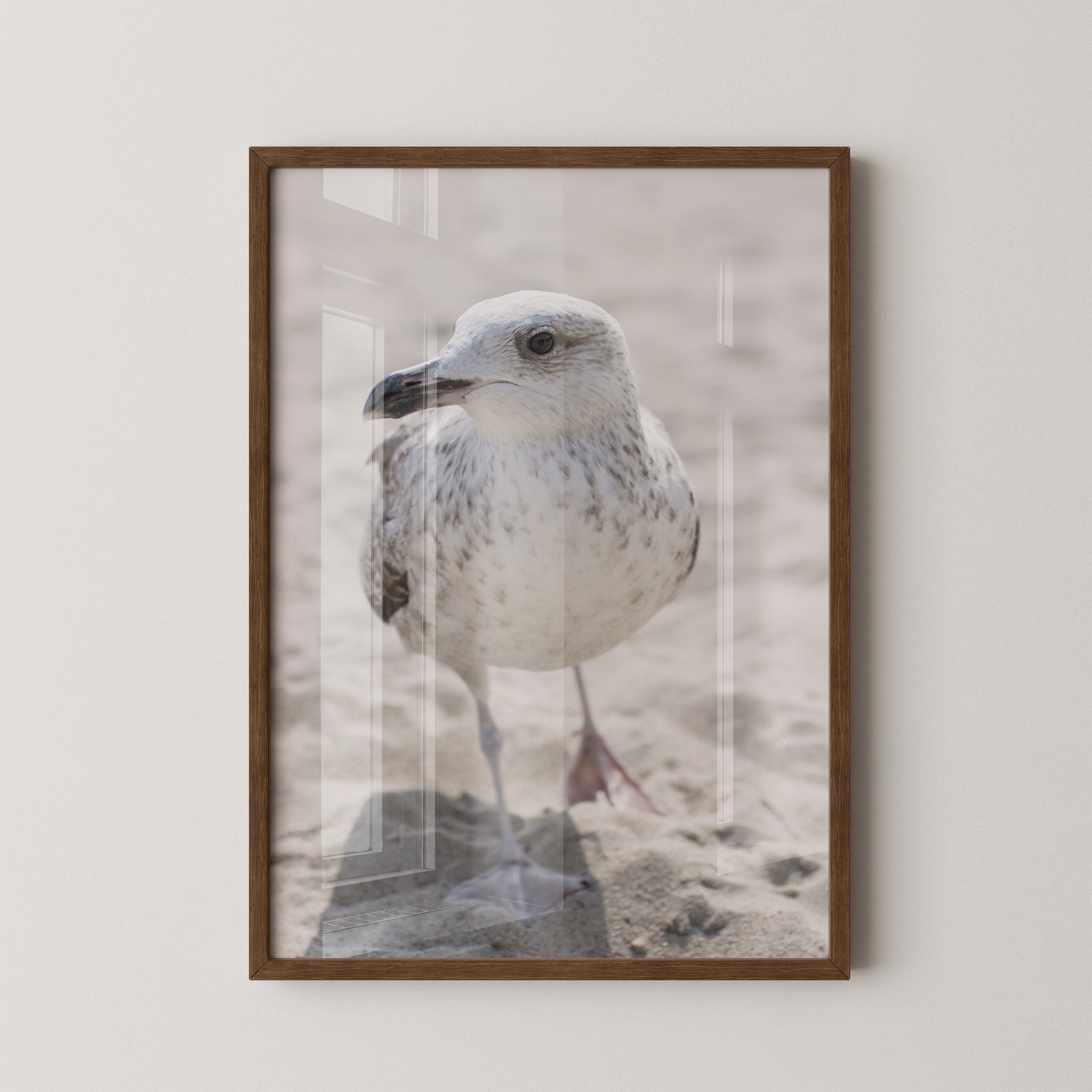 Möwe am Strand Naturfarbe