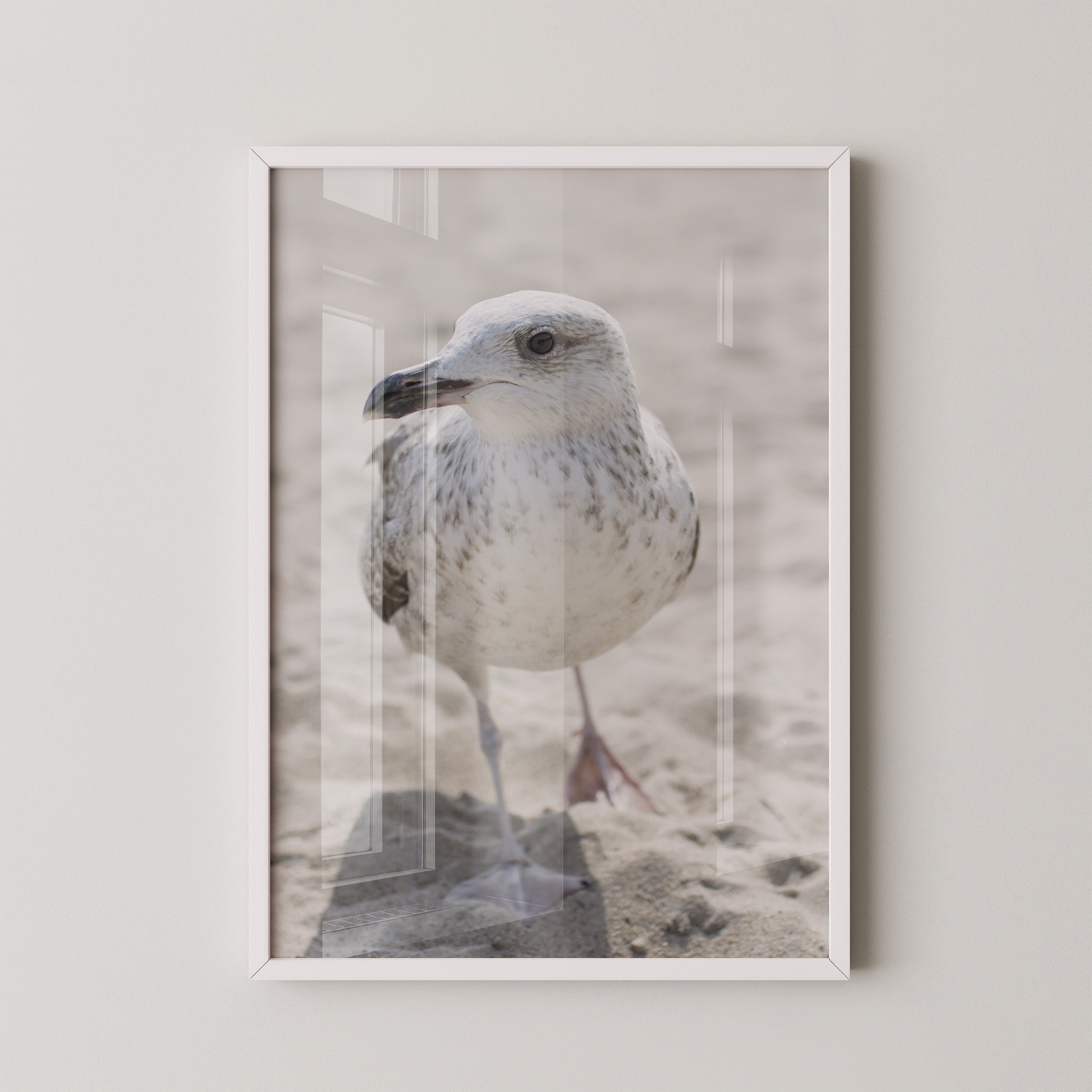 Möwe am Strand Naturfarbe