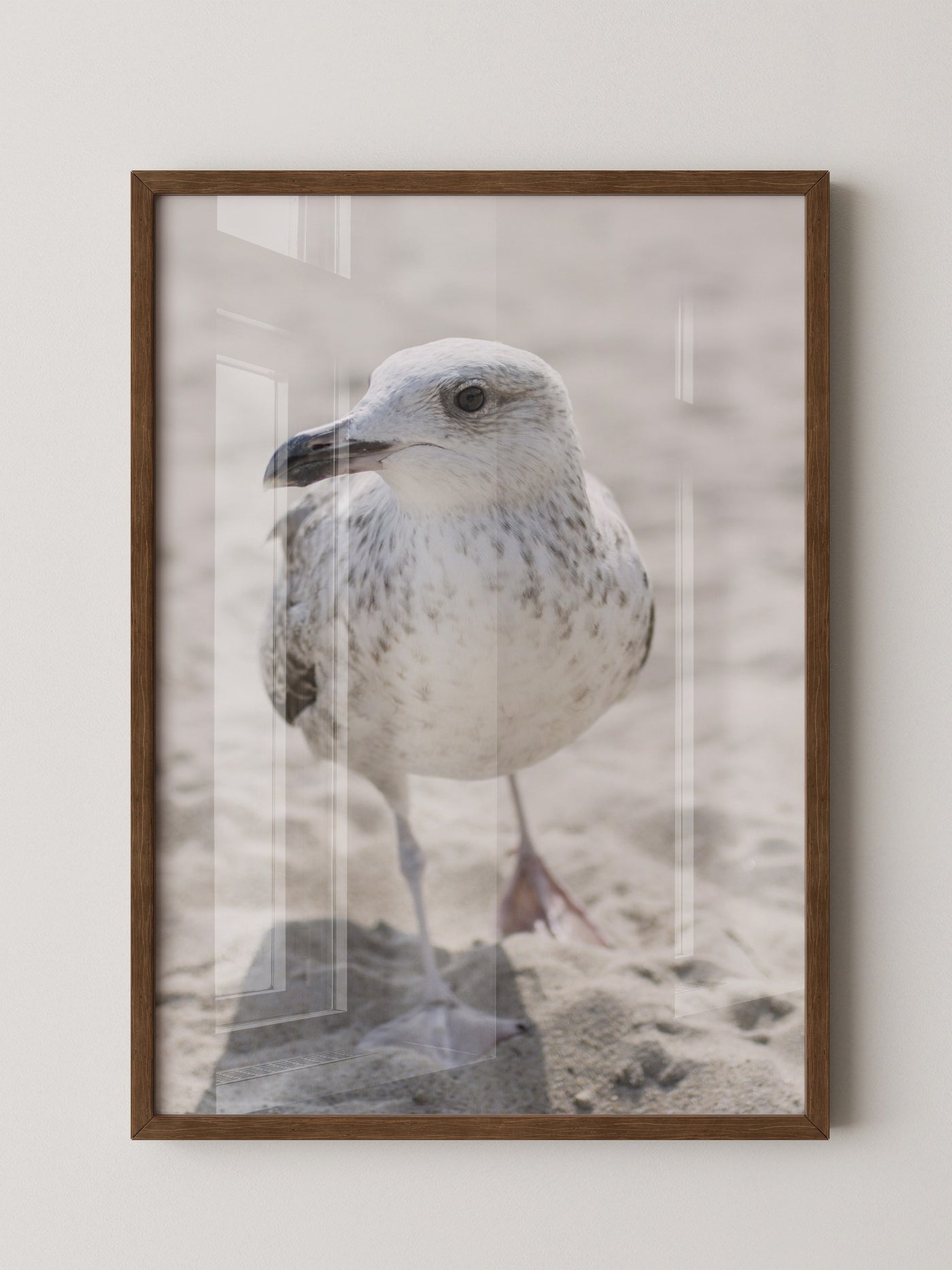Möwe am Strand Naturfarbe