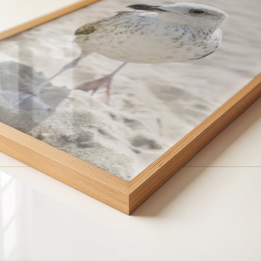 Möwe am Strand Naturfarbe