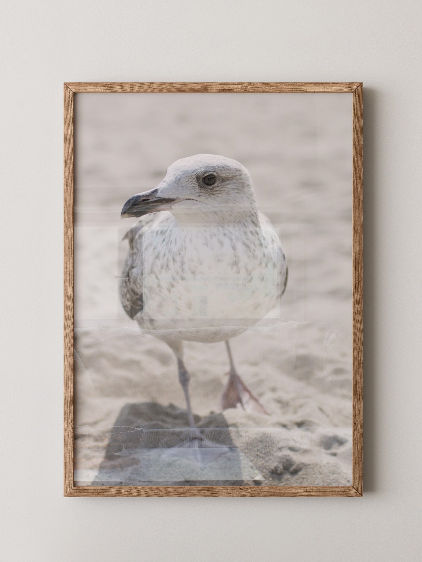 Möwe am Strand Naturfarbe