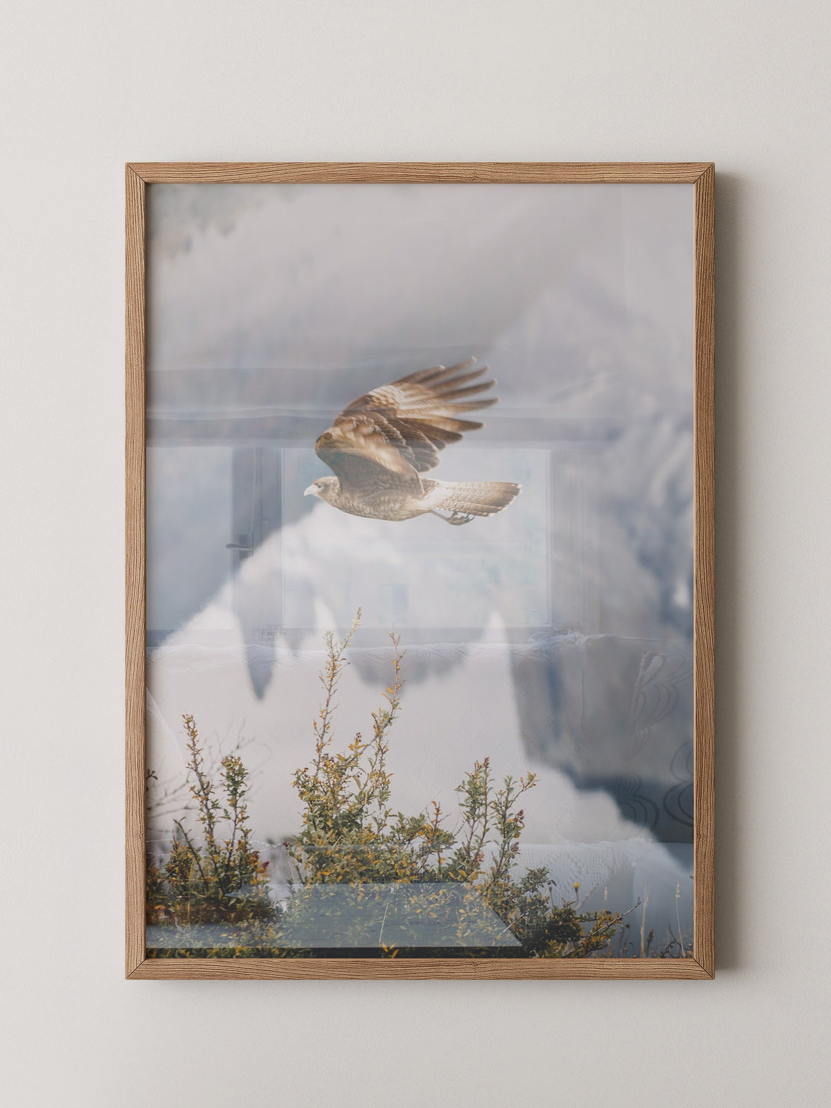 Greifvogel Flug Berge Nebel