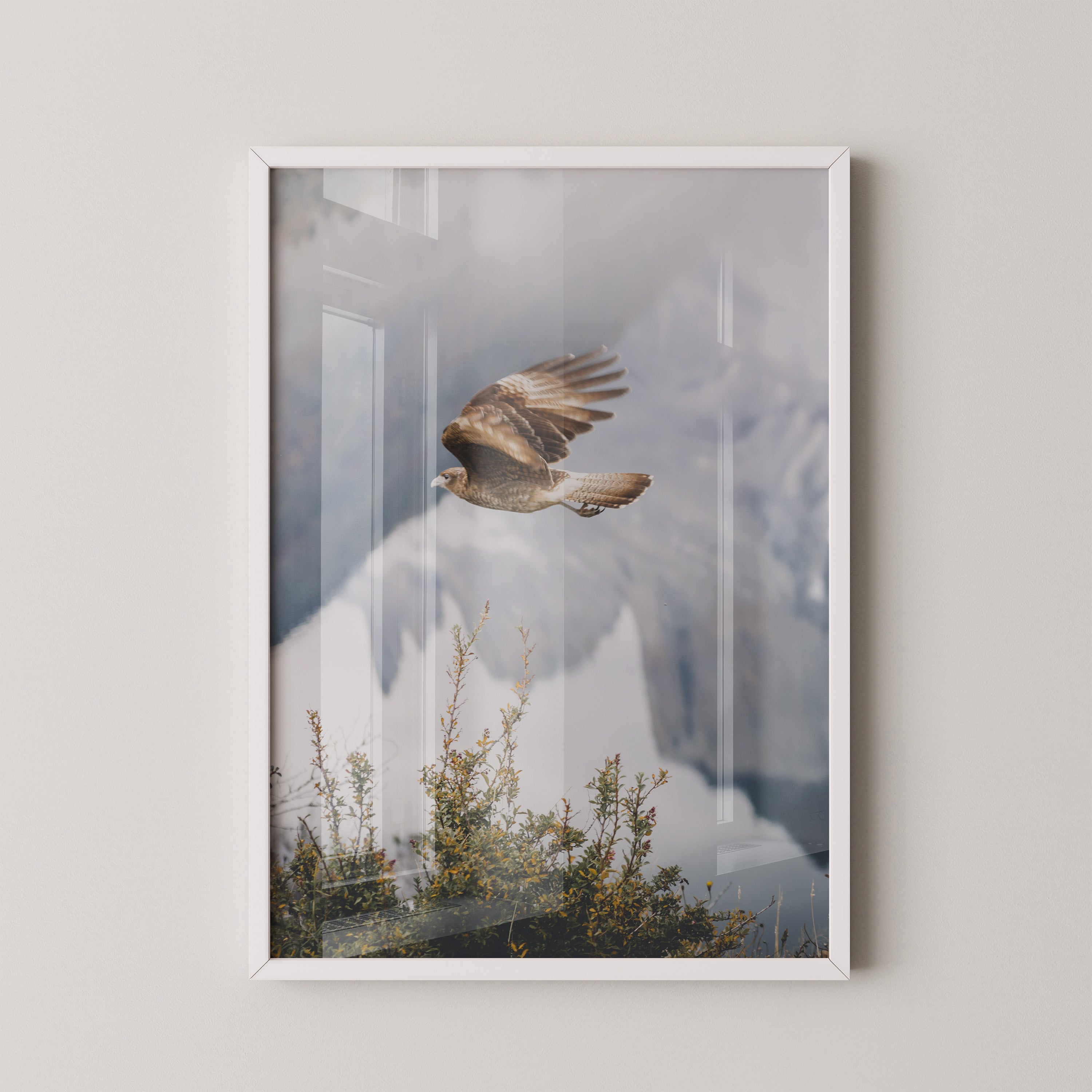 Greifvogel Flug Berge Nebel