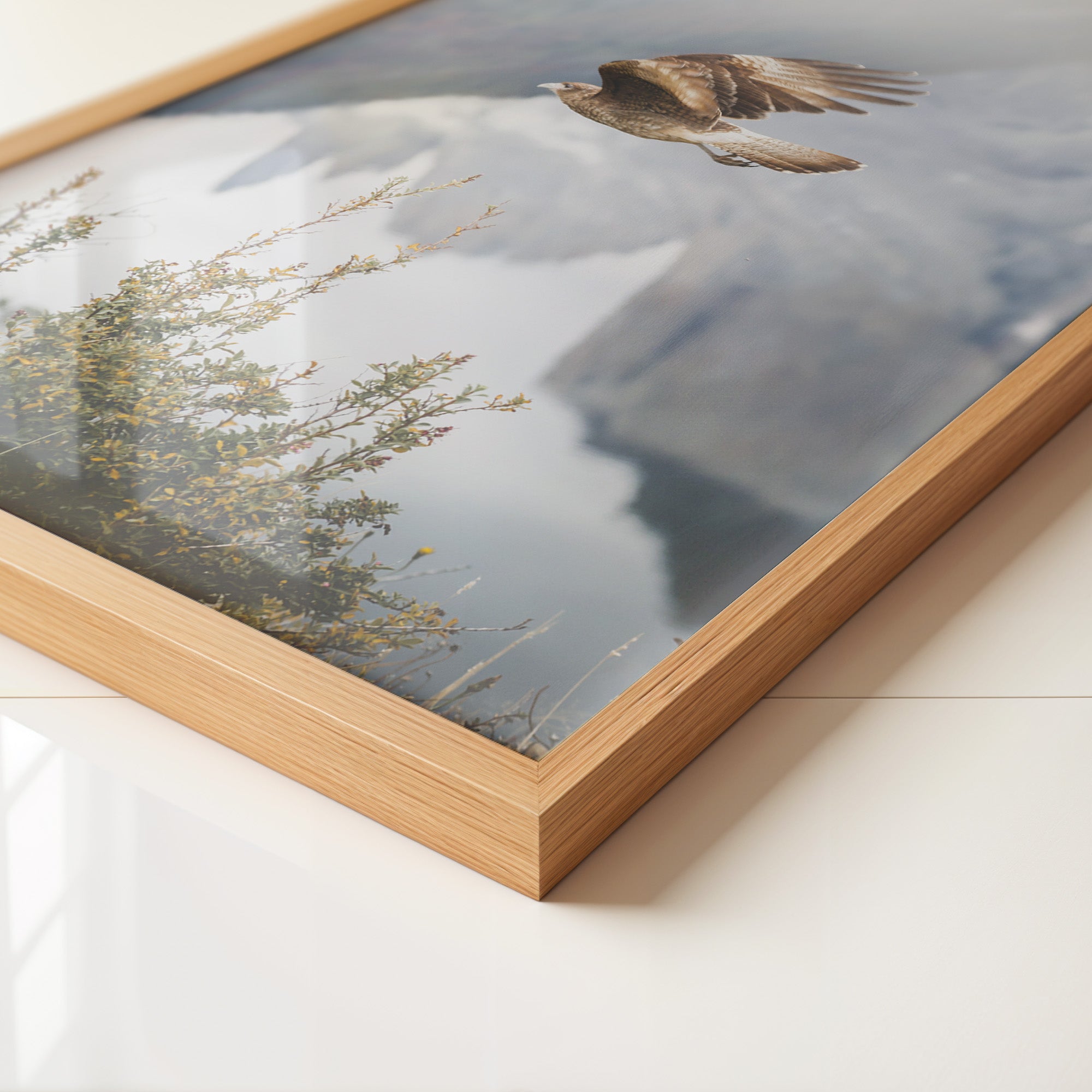 Greifvogel Flug Berge Nebel