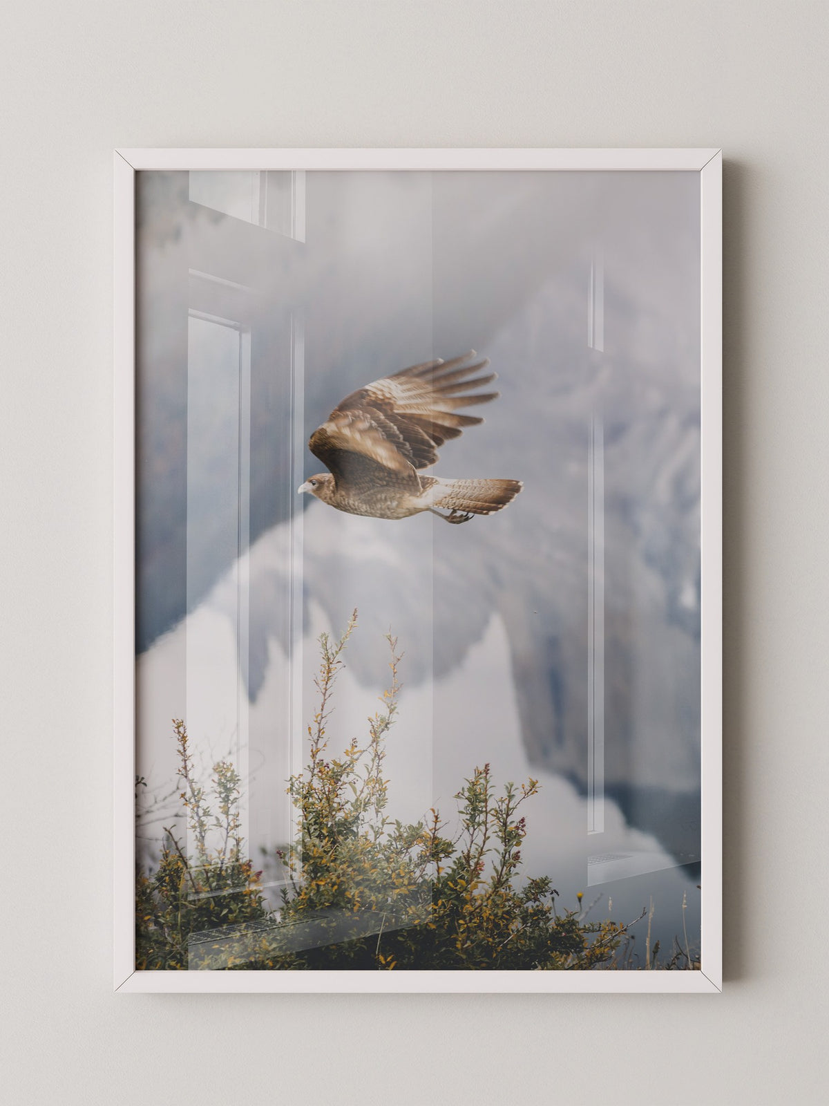 Greifvogel Flug Berge Nebel