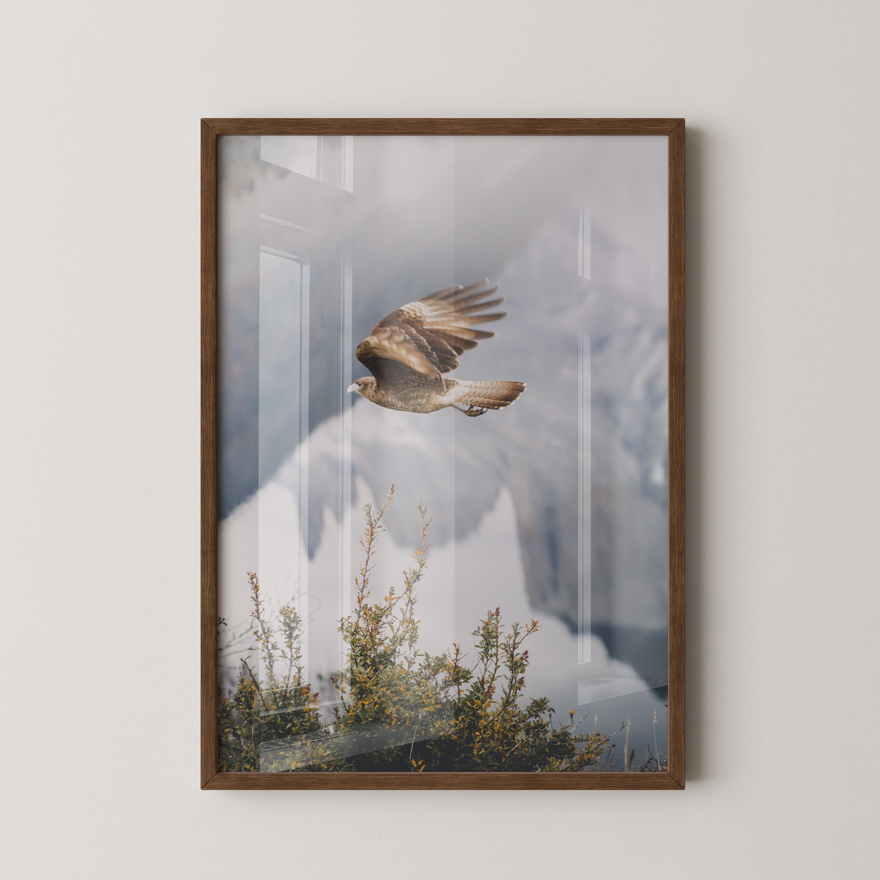 Greifvogel Flug Berge Nebel