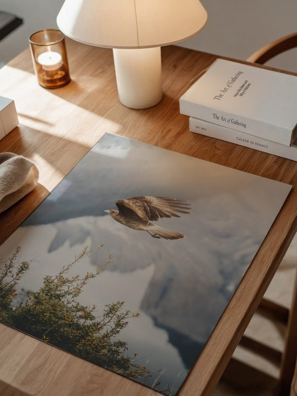 Greifvogel Flug Berge Nebel