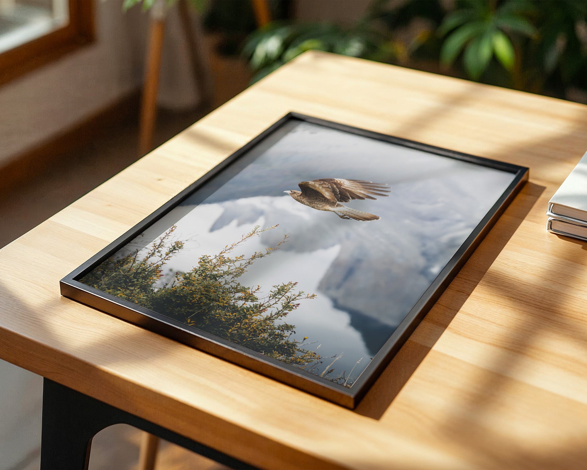 Greifvogel Flug Berge Nebel