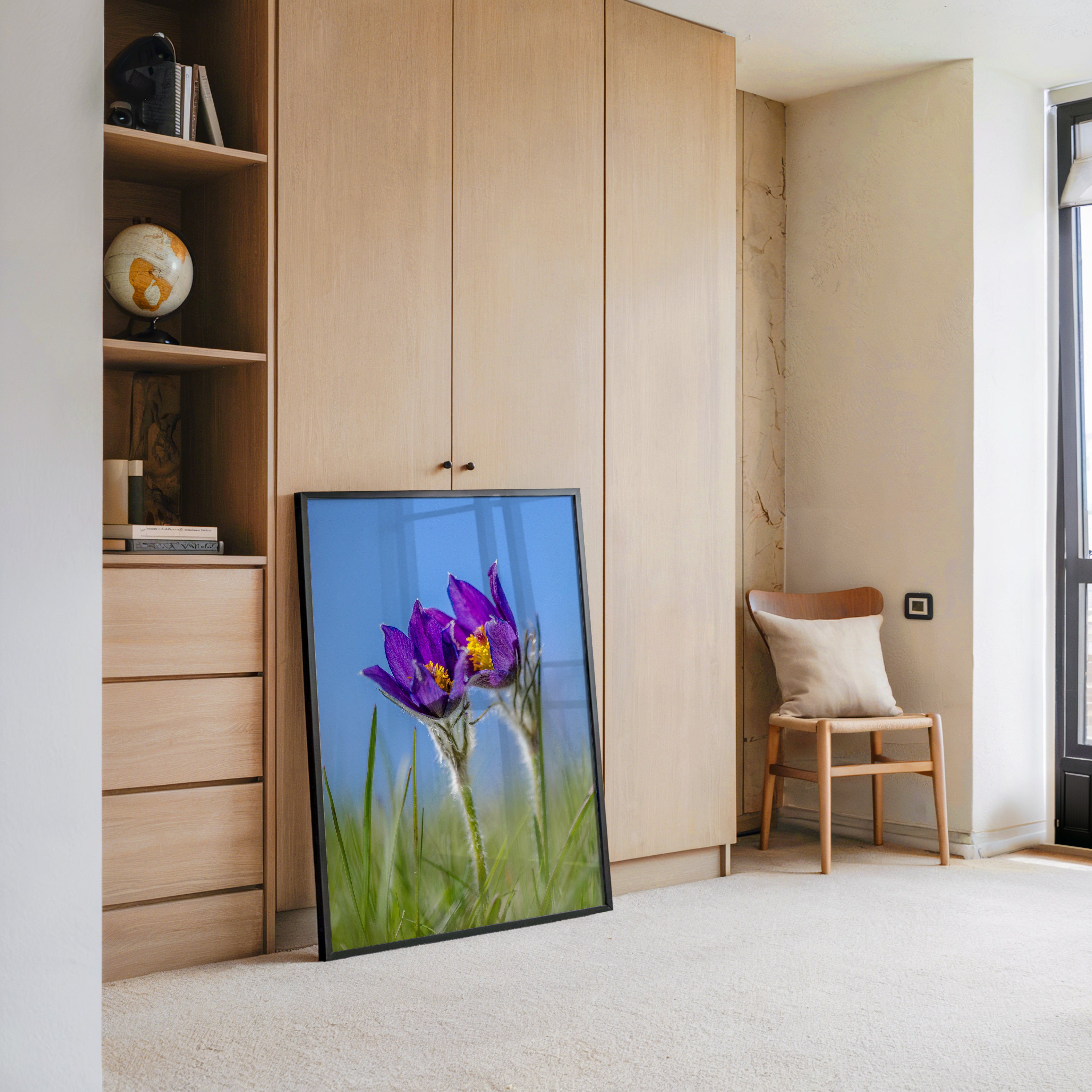 Küchenschellen Blütenwiese