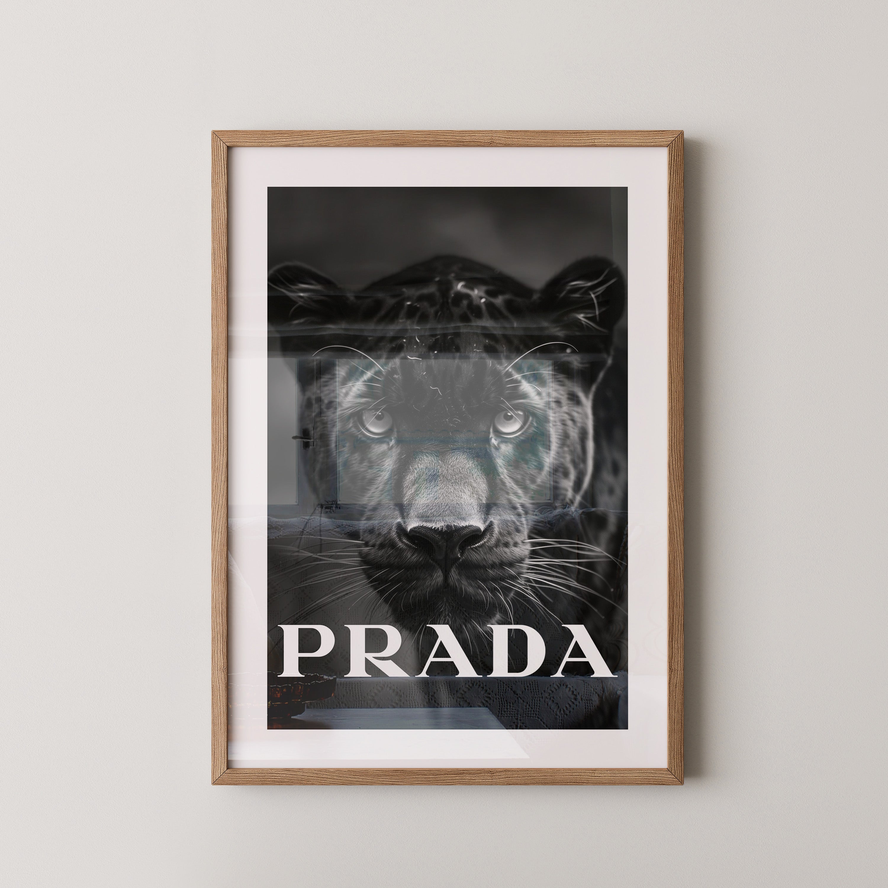 Leopard Nahaufnahme Schwarzweiß