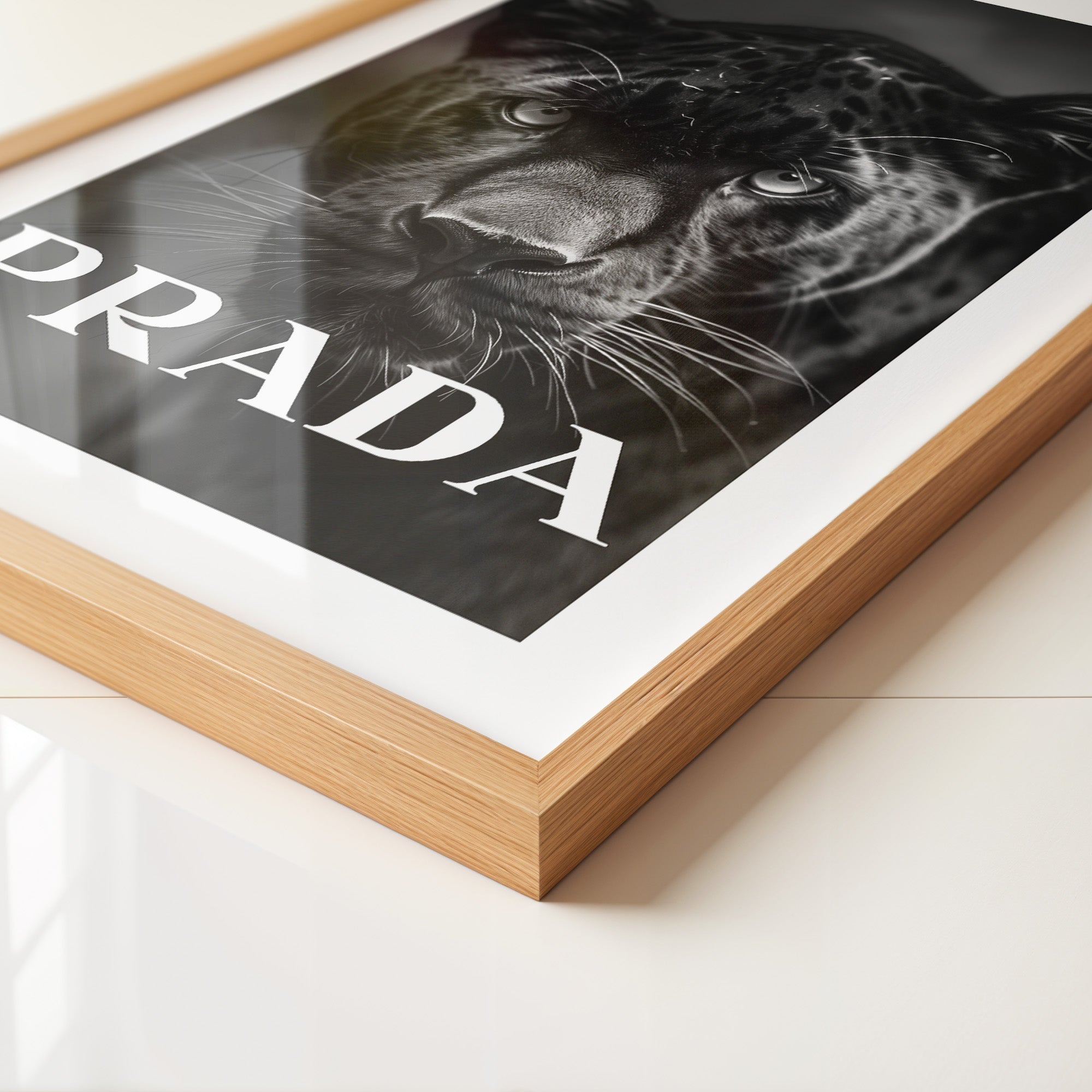 Leopard Nahaufnahme Schwarzweiß