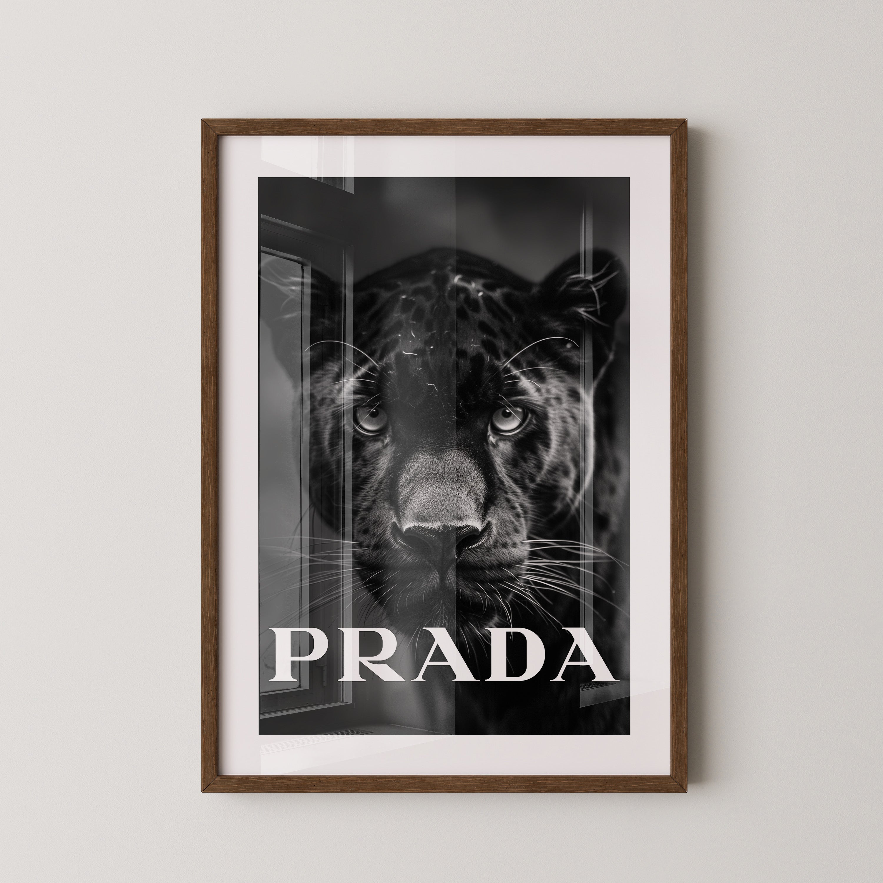 Leopard Nahaufnahme Schwarzweiß