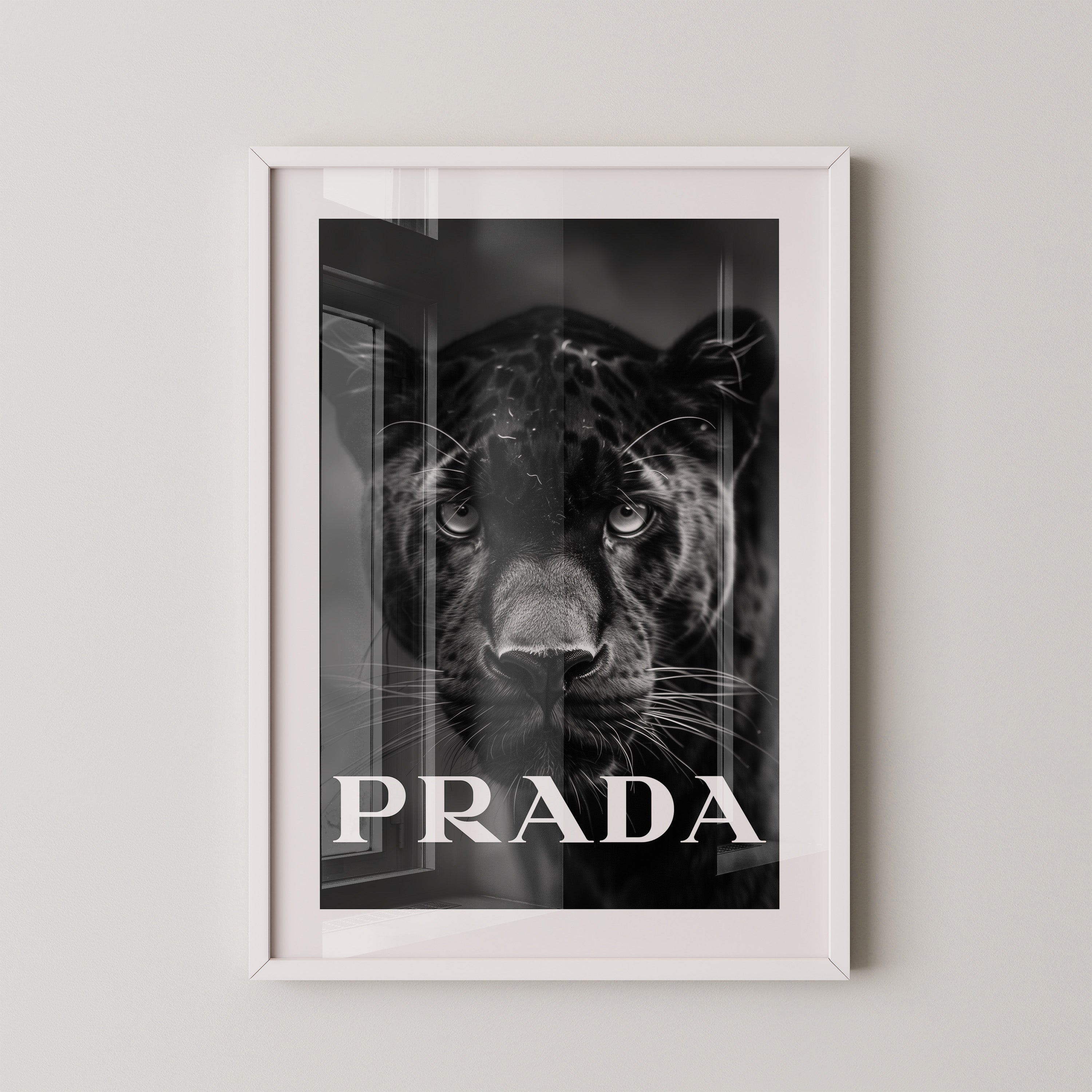 Leopard Nahaufnahme Schwarzweiß