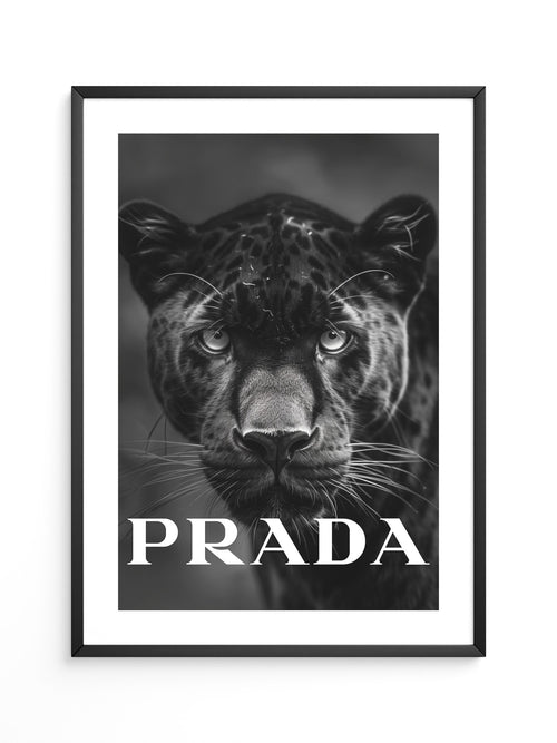 Leopard Nahaufnahme Schwarzweiß