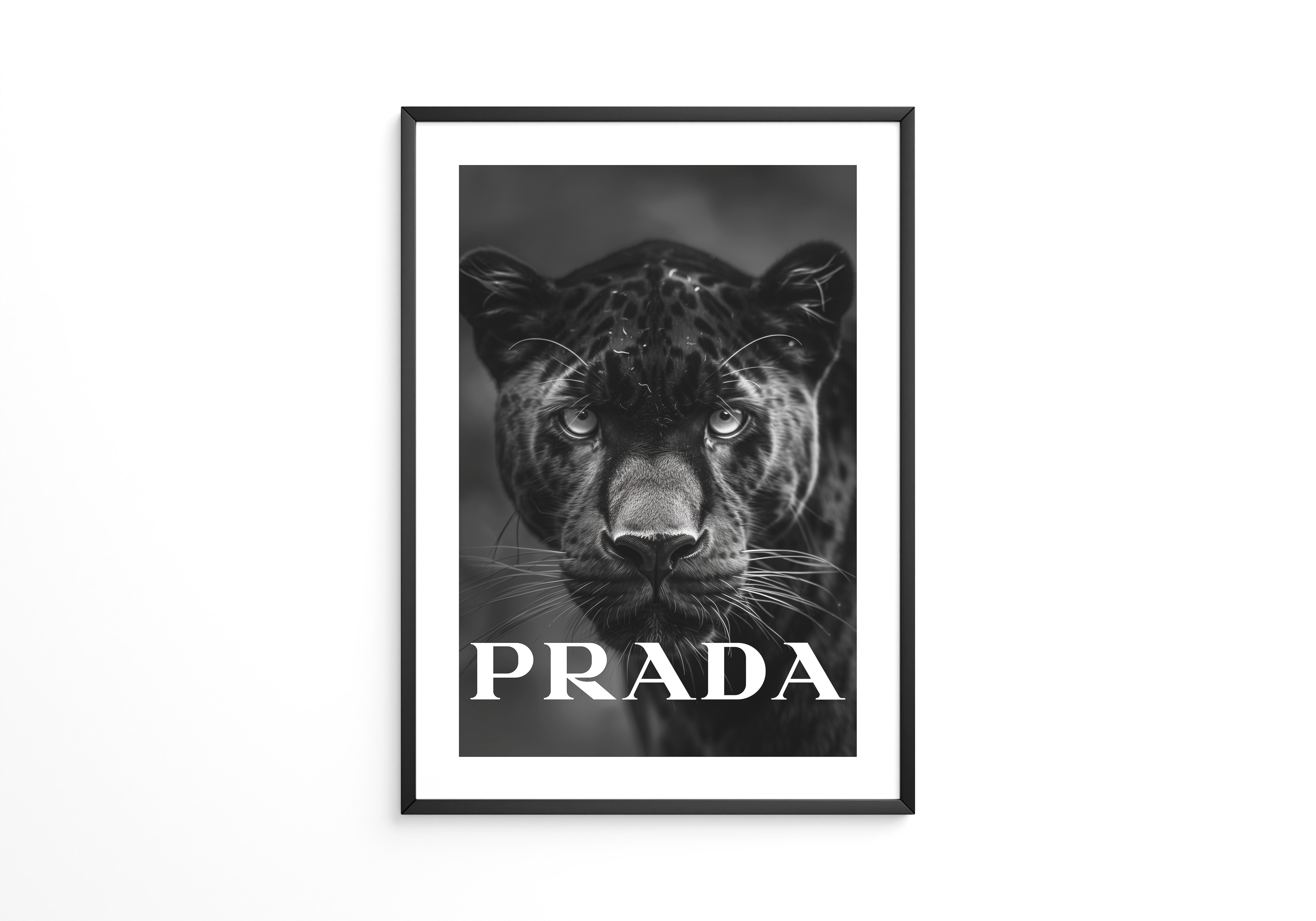 Leopard Nahaufnahme Schwarzweiß