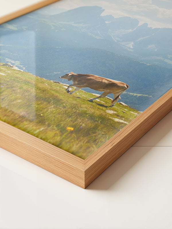 Kuh Berglandschaft pastell