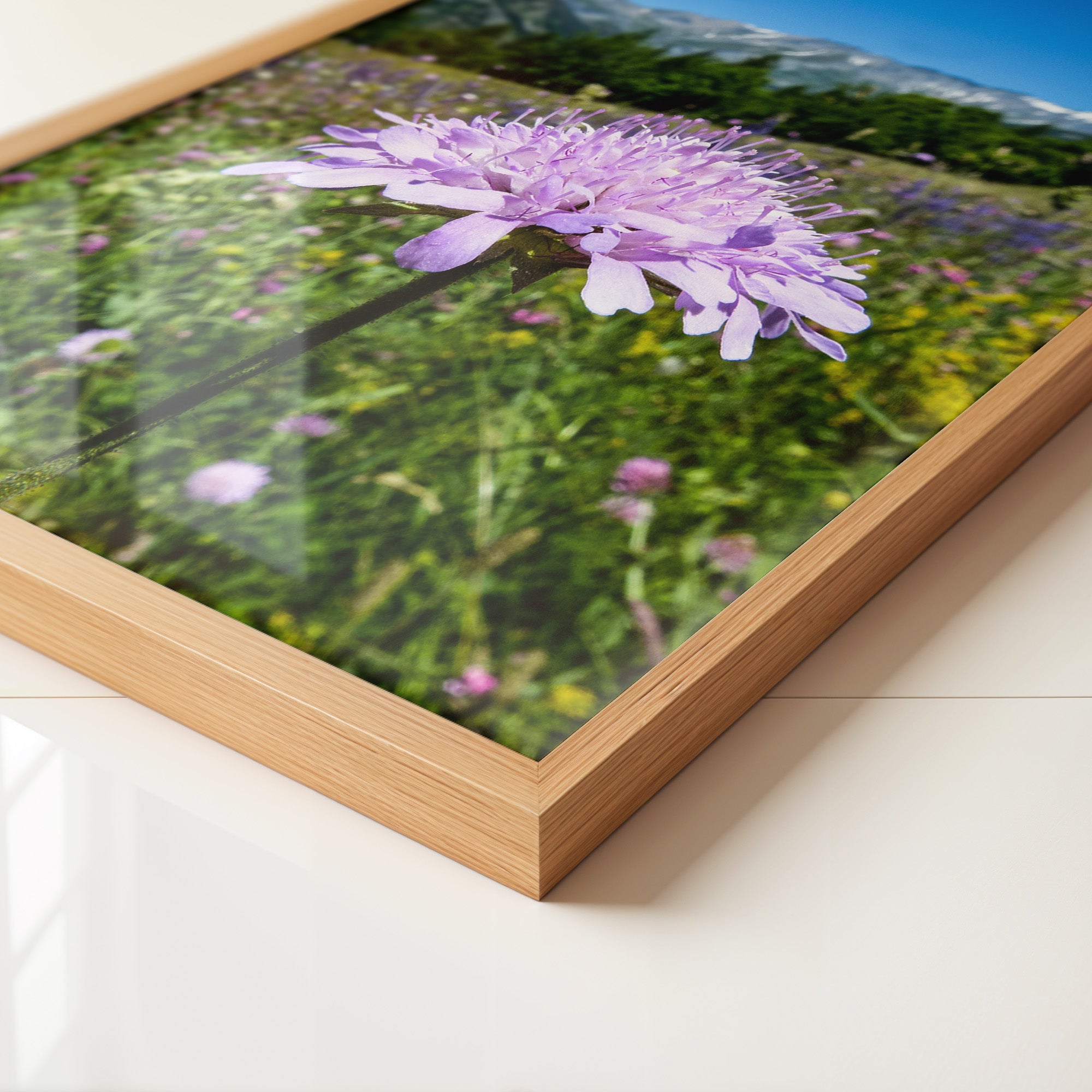 Lila Blume Makro Wiese