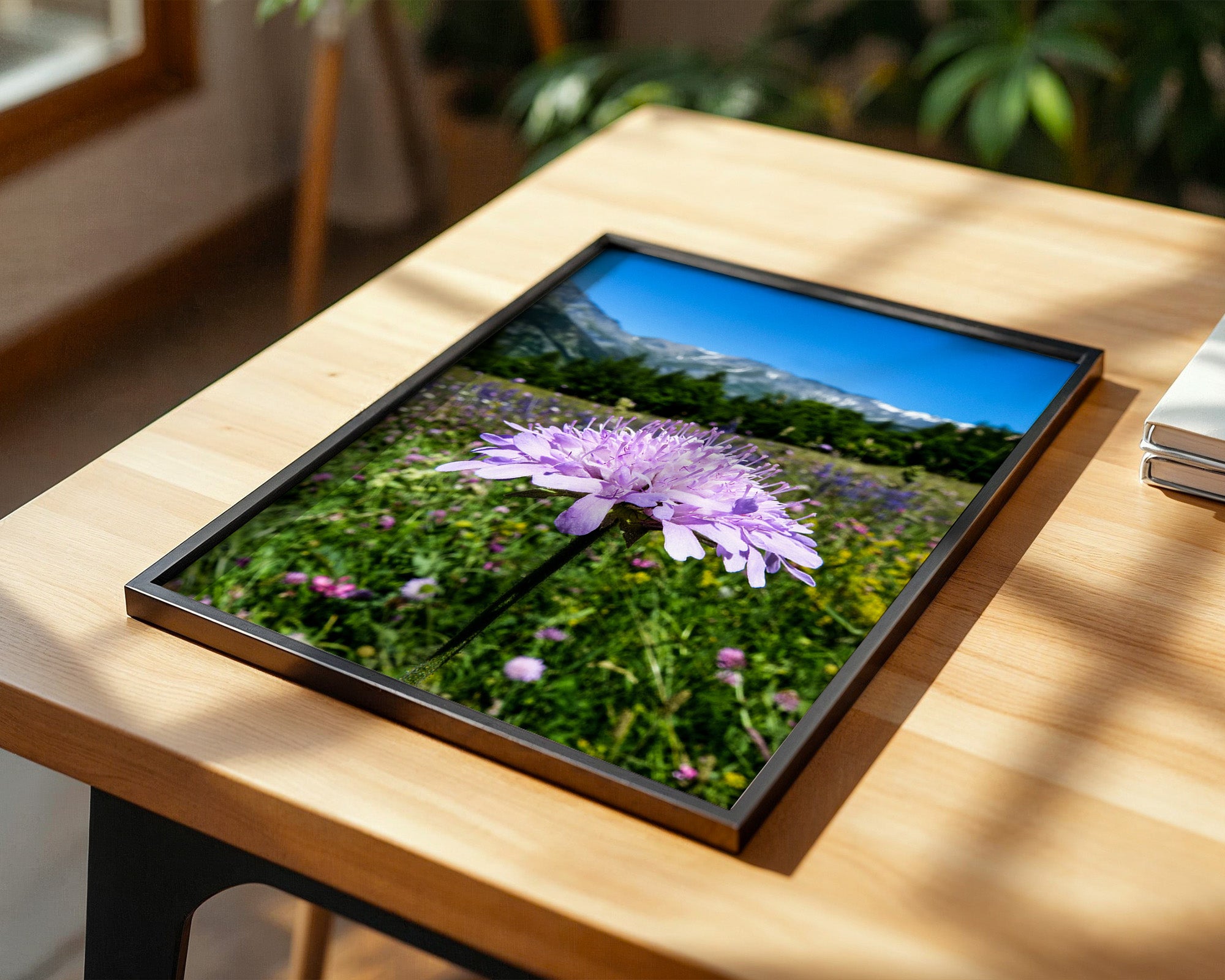 Lila Blume Makro Wiese