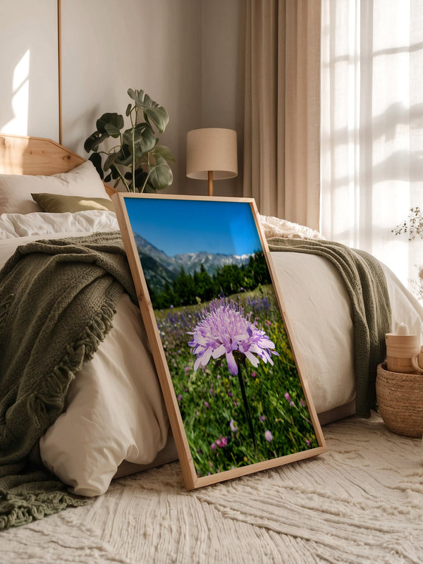 Lila Blume Makro Wiese