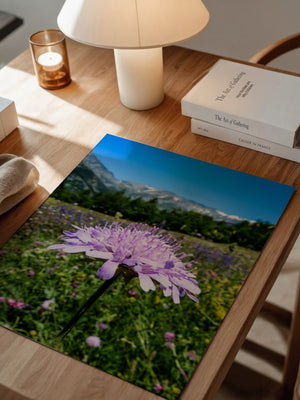 Lila Blume Makro Wiese