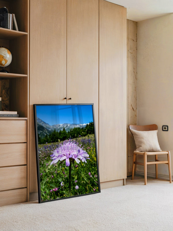 Lila Blume Makro Wiese