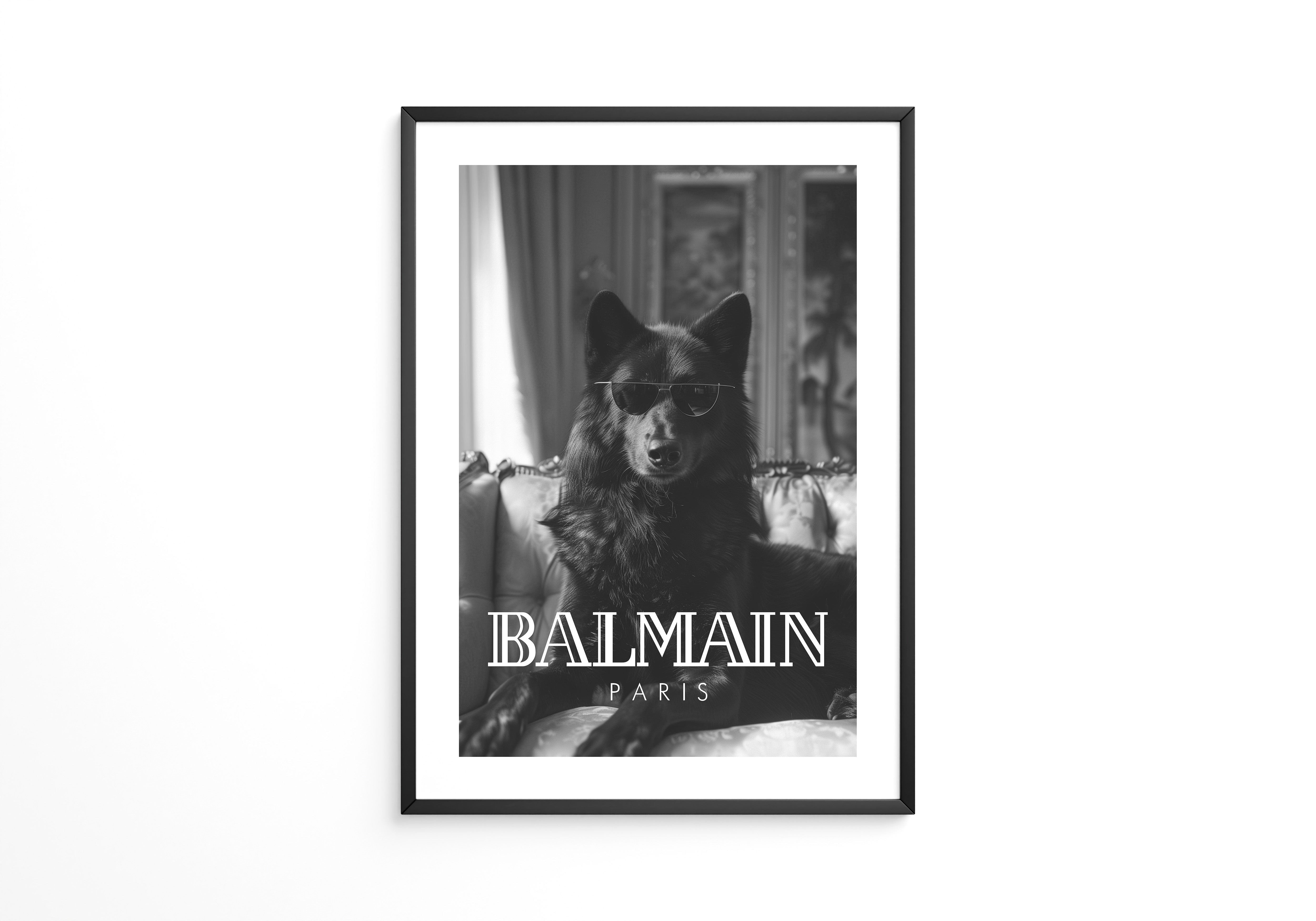 Hund Sonnenbrille Schwarzweiß