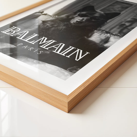 Hund Sonnenbrille Schwarzweiß