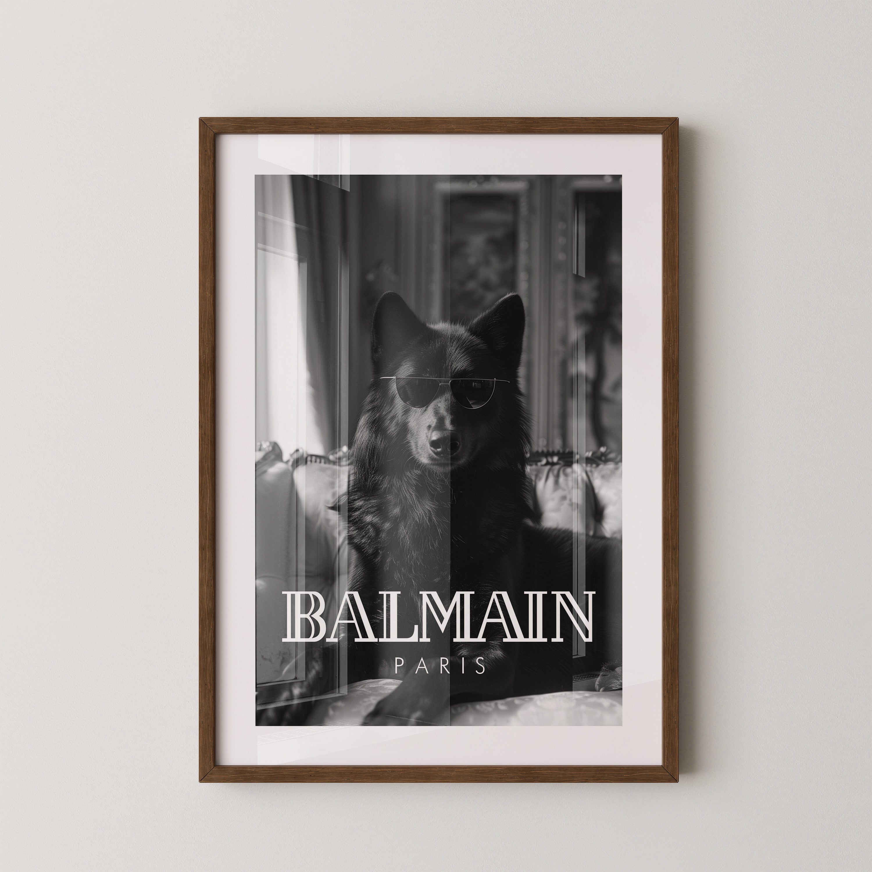 Hund Sonnenbrille Schwarzweiß