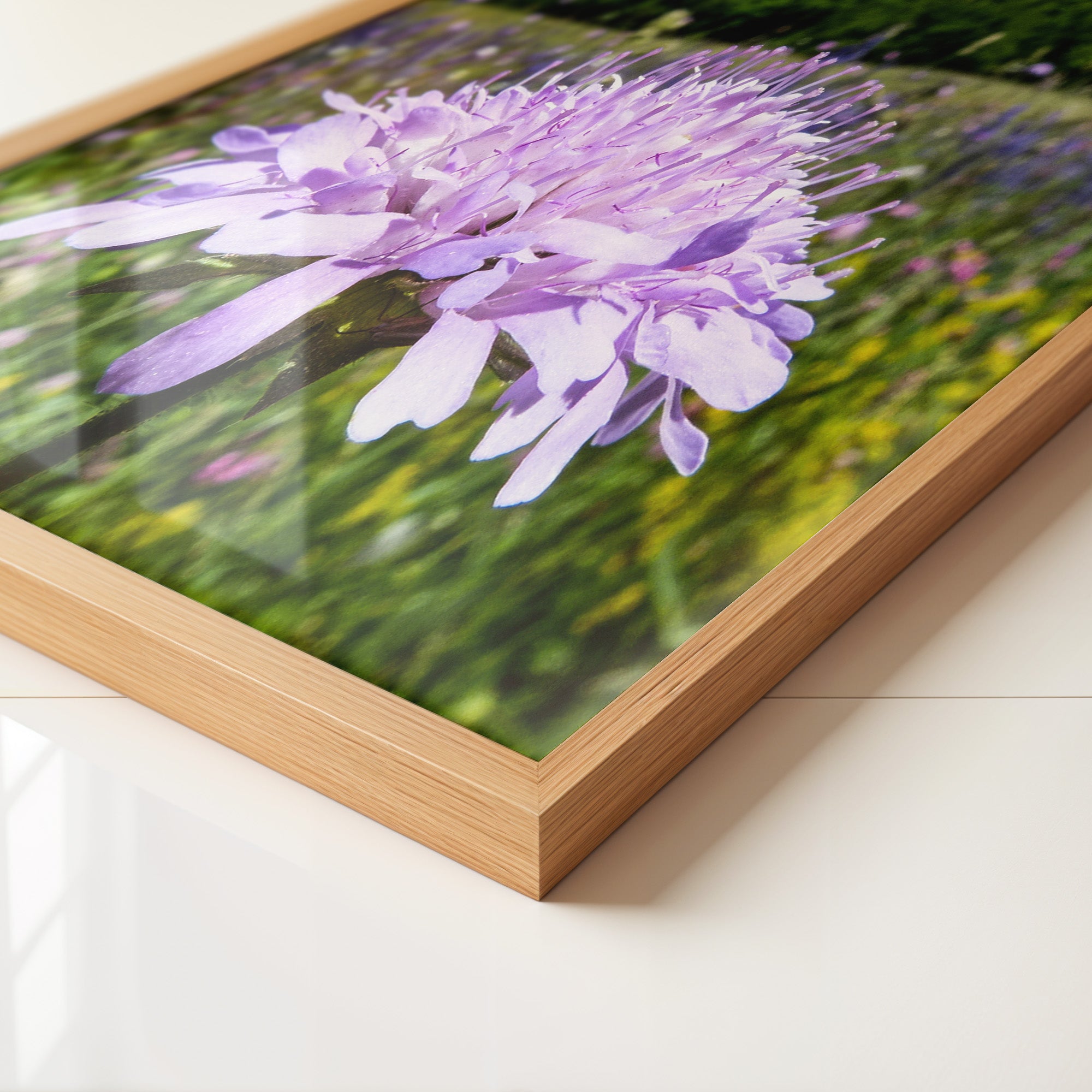 Lila Blume Nahaufnahme