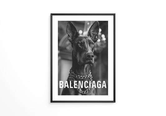 Hund Kette Schwarz-Weiß