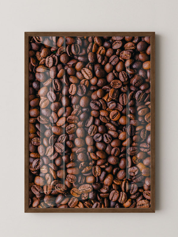 Kaffeebohnen Nahaufnahme