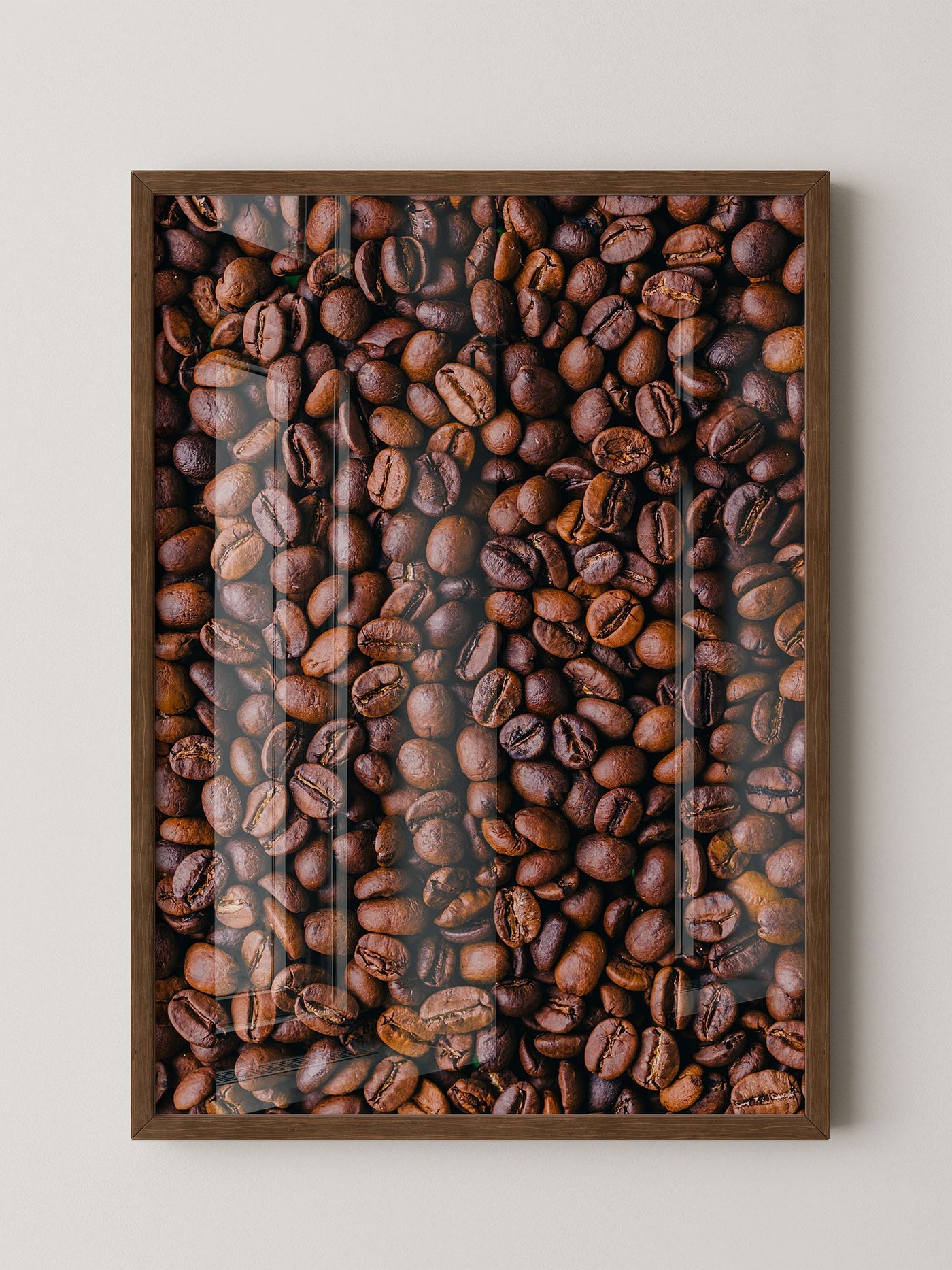 Kaffeebohnen Nahaufnahme