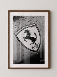 Regentropfen Pferd Emblem