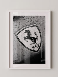 Regentropfen Pferd Emblem