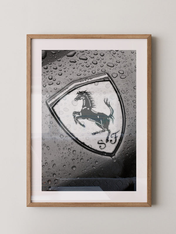 Regentropfen Pferd Emblem