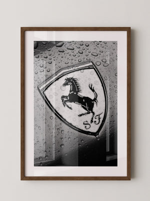 Regentropfen Pferd Emblem