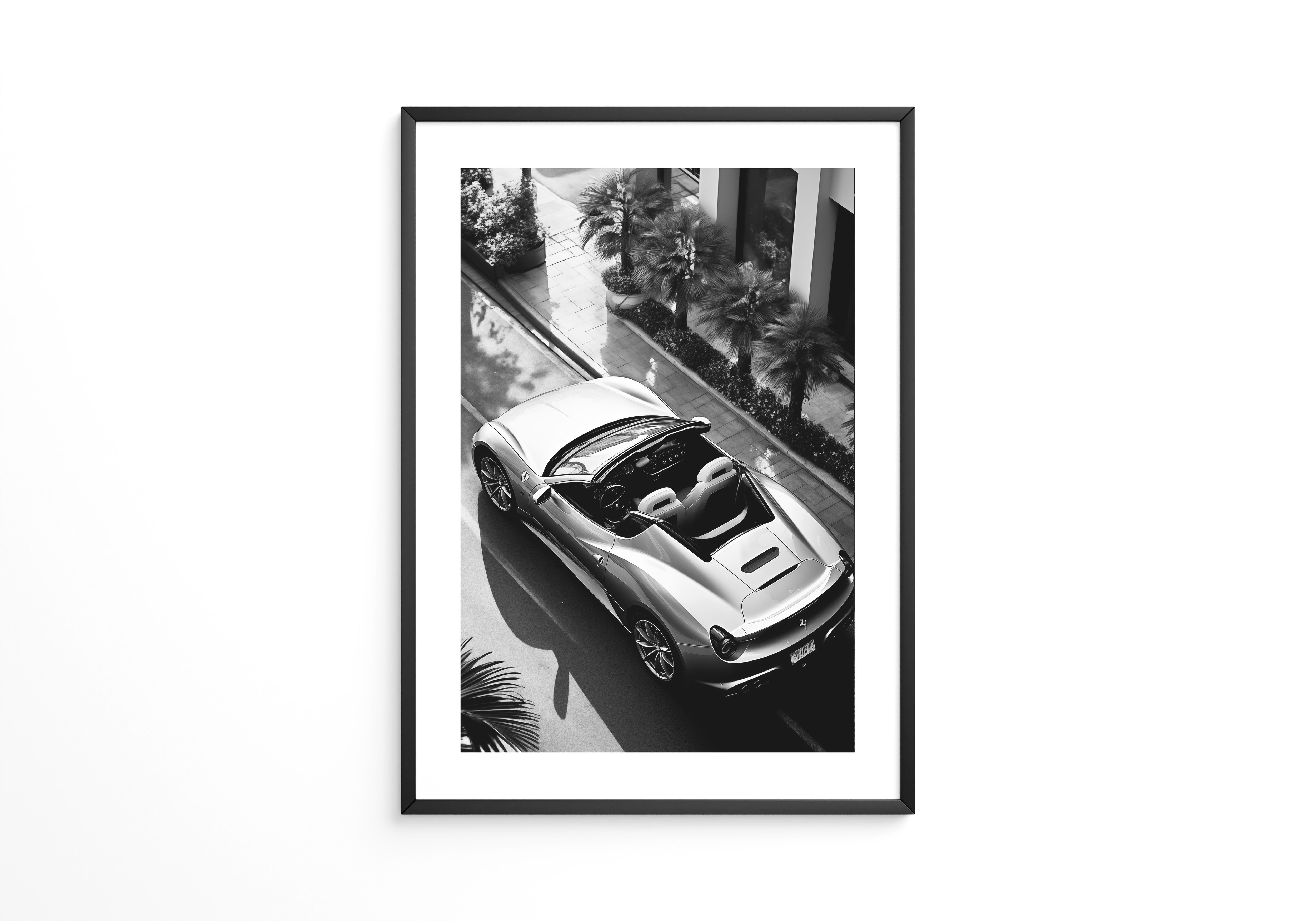 Cabrio Palmen Schwarzweißperspektive