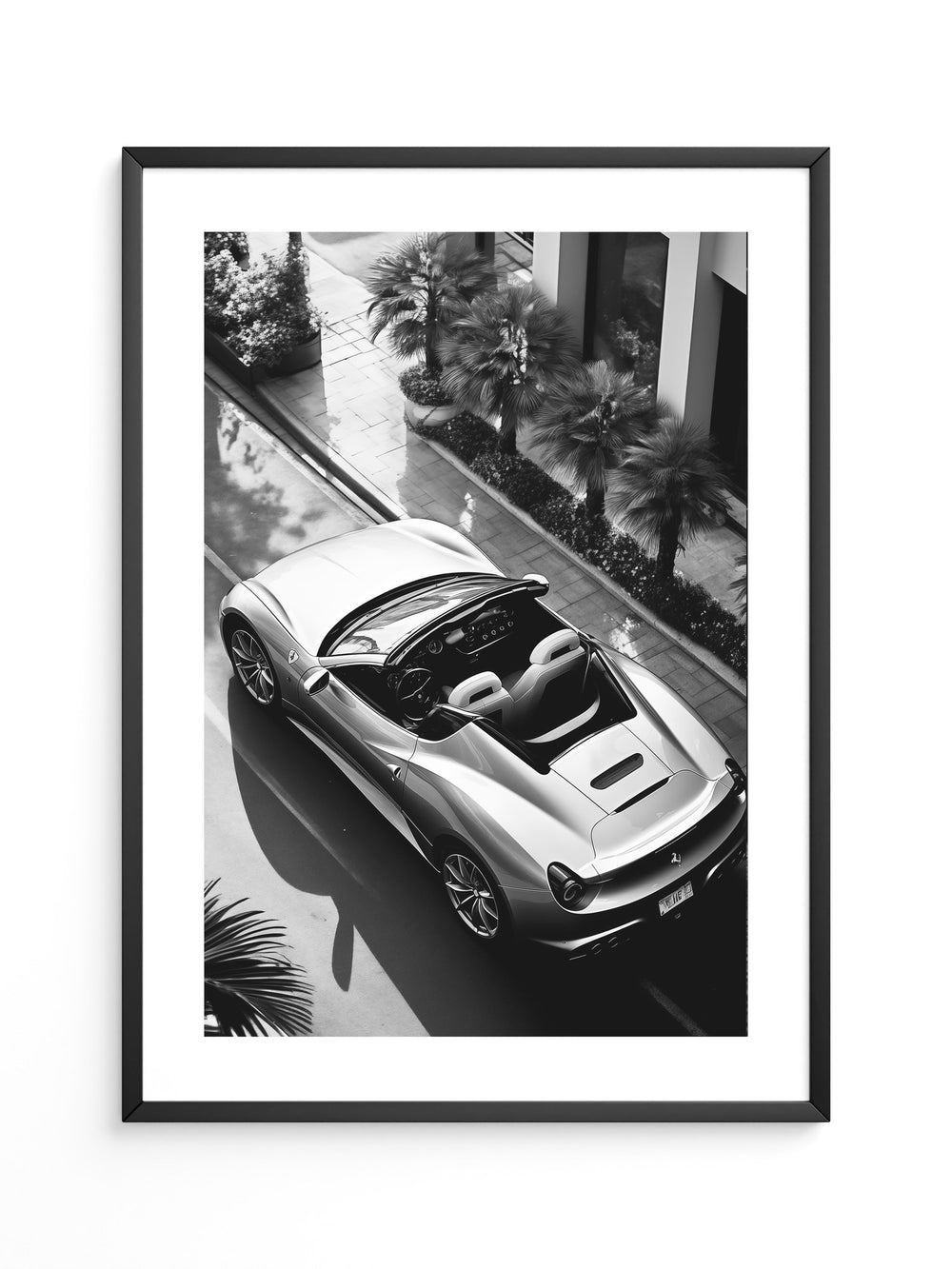 Cabrio Palmen Schwarzweißperspektive