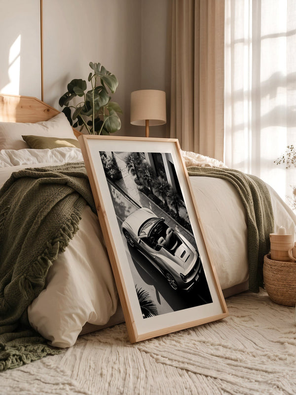 Cabrio Palmen Schwarzweißperspektive