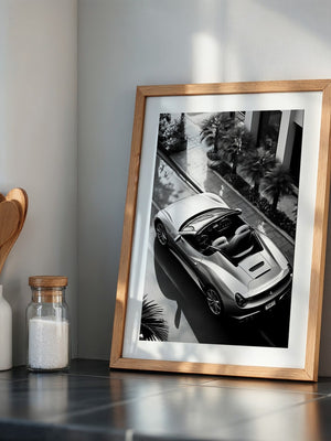 Cabrio Palmen Schwarzweißperspektive