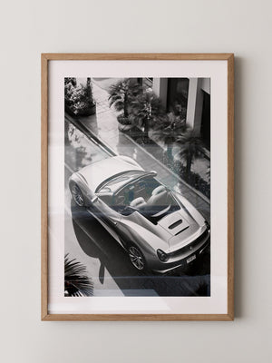 Cabrio Palmen Schwarzweißperspektive