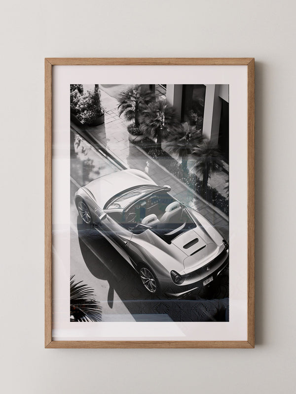Cabrio Palmen Schwarzweißperspektive