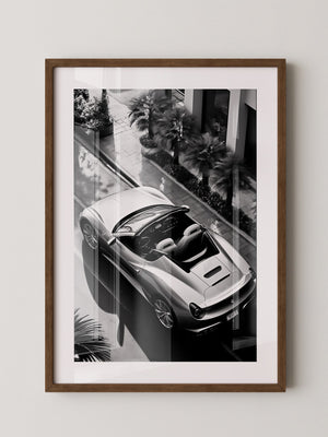 Cabrio Palmen Schwarzweißperspektive