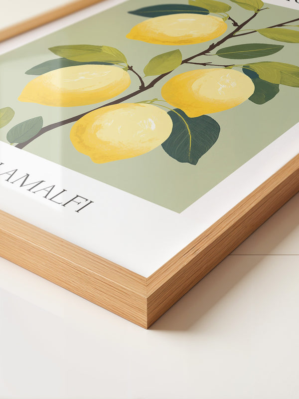 Zitronenbaum Amalfi Illustration