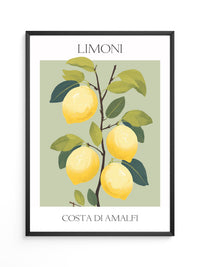 Zitronenbaum Amalfi Illustration
