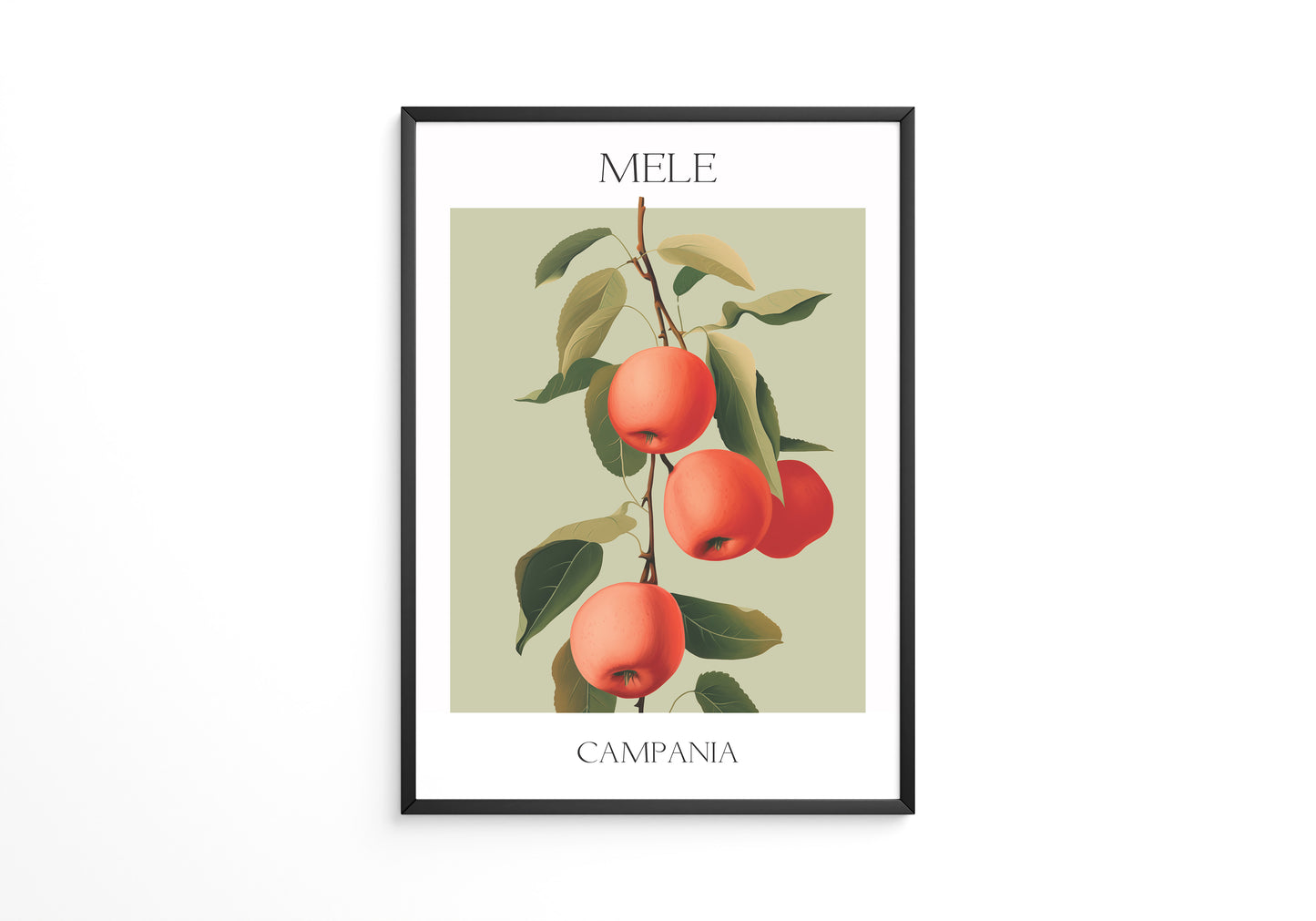 Äpfel Ast Illustration Vintage